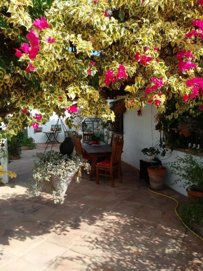 Casa Miguel Bed & Breakfast Писара Екстериор снимка
